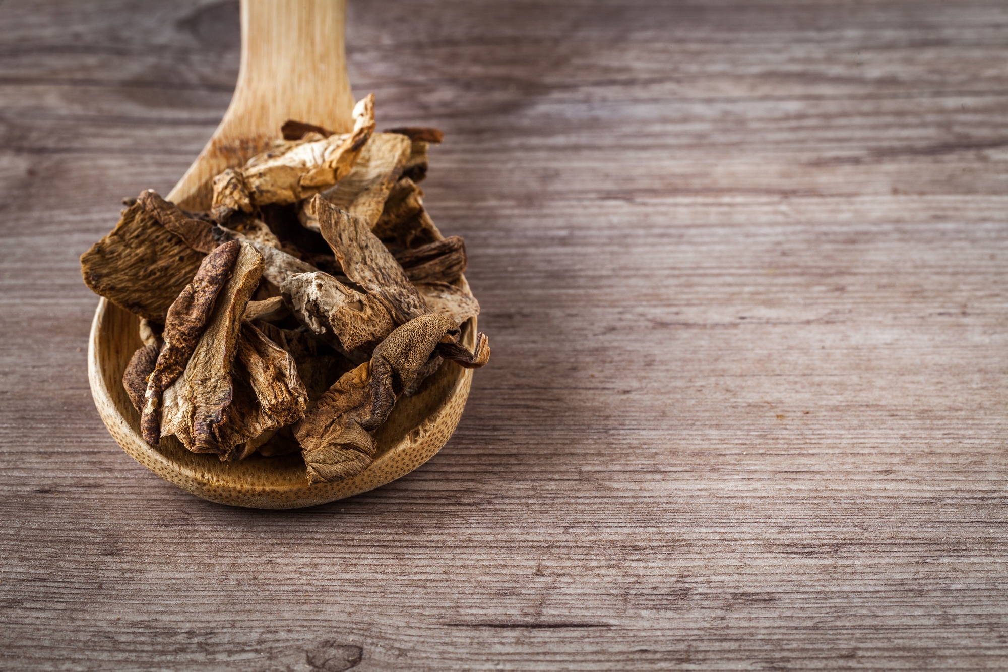 Dried mushroom