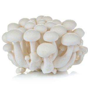 Soplówka Jeżowata (Hericium Erinaceus) – świeży owocnik